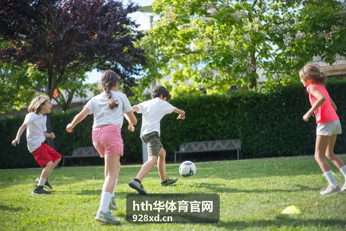hth华体育官网 阶段复盘清单资料